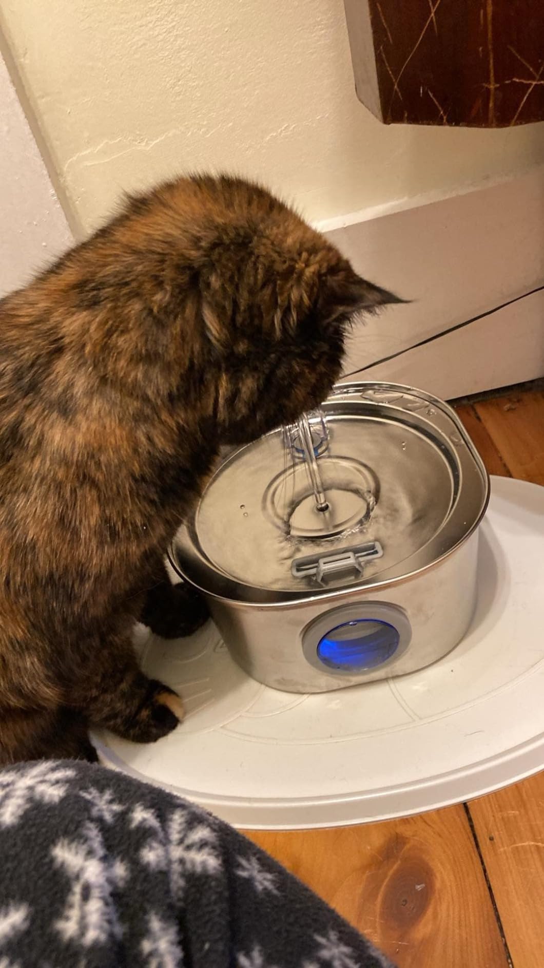 PEKTACO Cat Water Fountain, 3.2L/108oz Stainless Steel Pet Water Fountain customer photo 1
