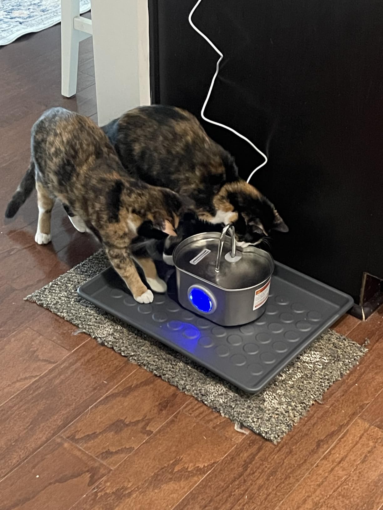 Cat Water Fountain Stainless Steel: 108oz/3.2L Cat Fountain for Drinking | Pet Water Fountain Inside - Automatic Dog Watering Dispenser Bowl - Pet Feeding & Watering Supplies - Water Level Window customer photo 1
