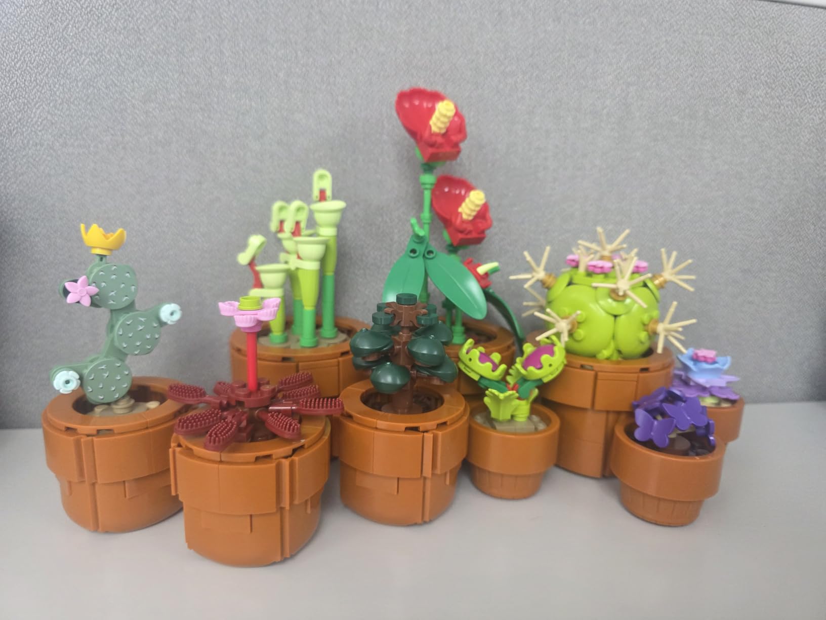 LEGO Botanicals Tiny Plants - Artificial, Fake Indoor Plant Building Set for Home, Kitchen, Desk Decoration, Adults Ages 18+ - Gift for Birthdays - 10329 customer photo 2