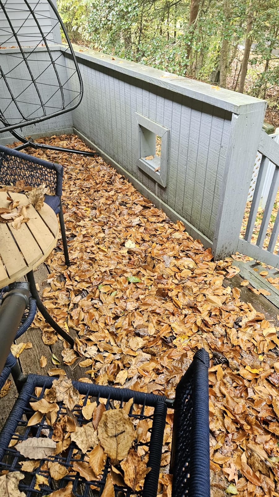 EWORK 20V Small Cordless Leaf Blower with 2 x 2.0Ah Battery and Charger customer photo 1