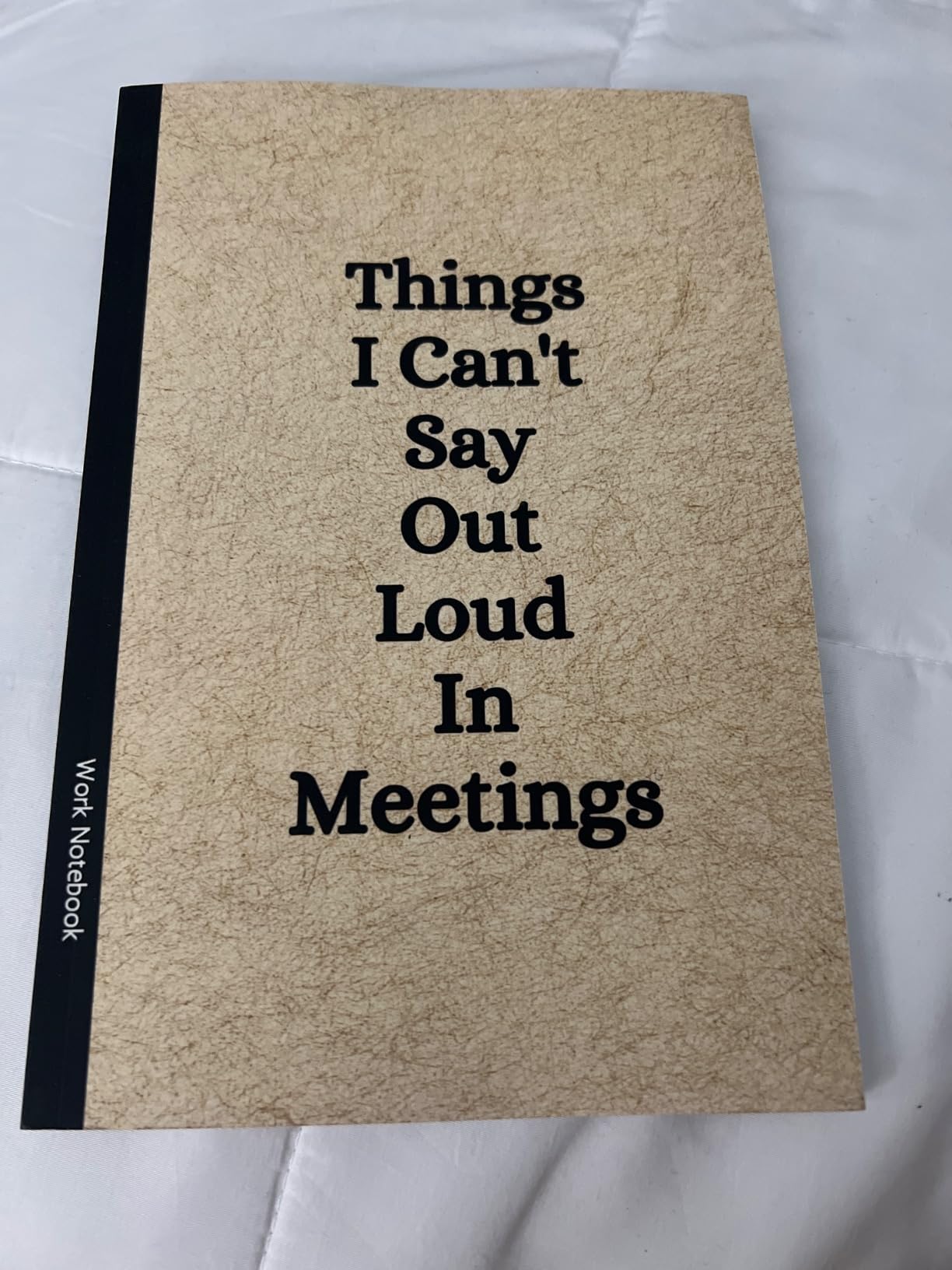 Things I Can't Say Out Loud In Meetings: Funny Notebook for Work, Gag Gift, Boss, Office, Secret Santa Gift for Coworker (Lined Journal with Quotes) customer photo 2