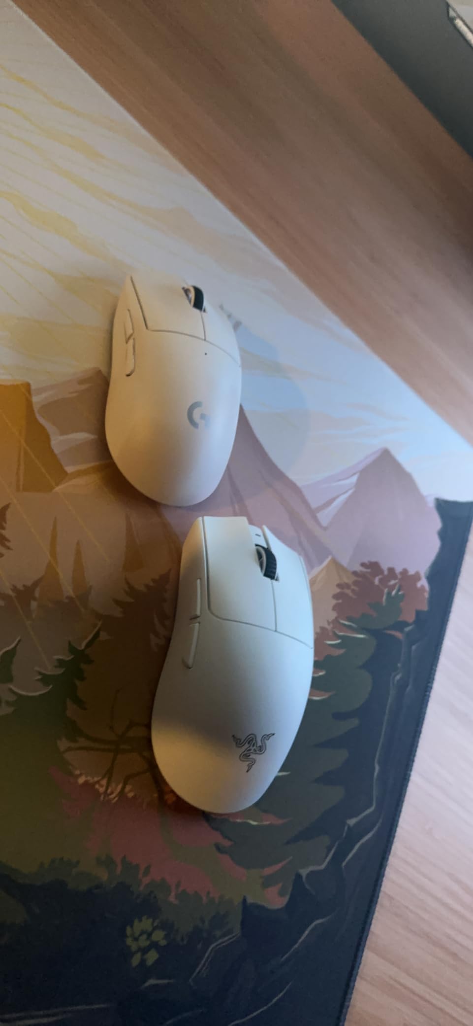 Razer Viper V3 Pro Wireless Esports Gaming Mouse, 55g Lightweight, White customer photo 1