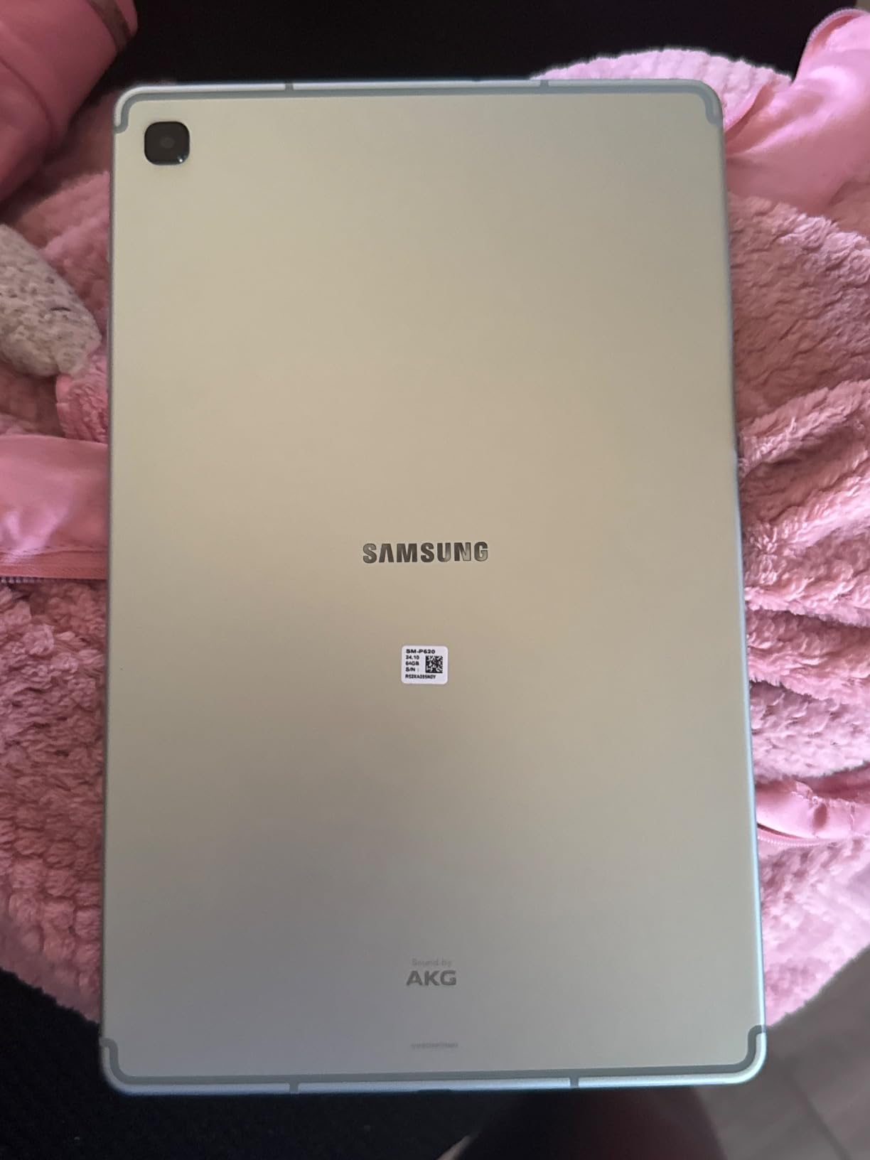 Samsung Galaxy Tab S6 Lite (2024) 10.4