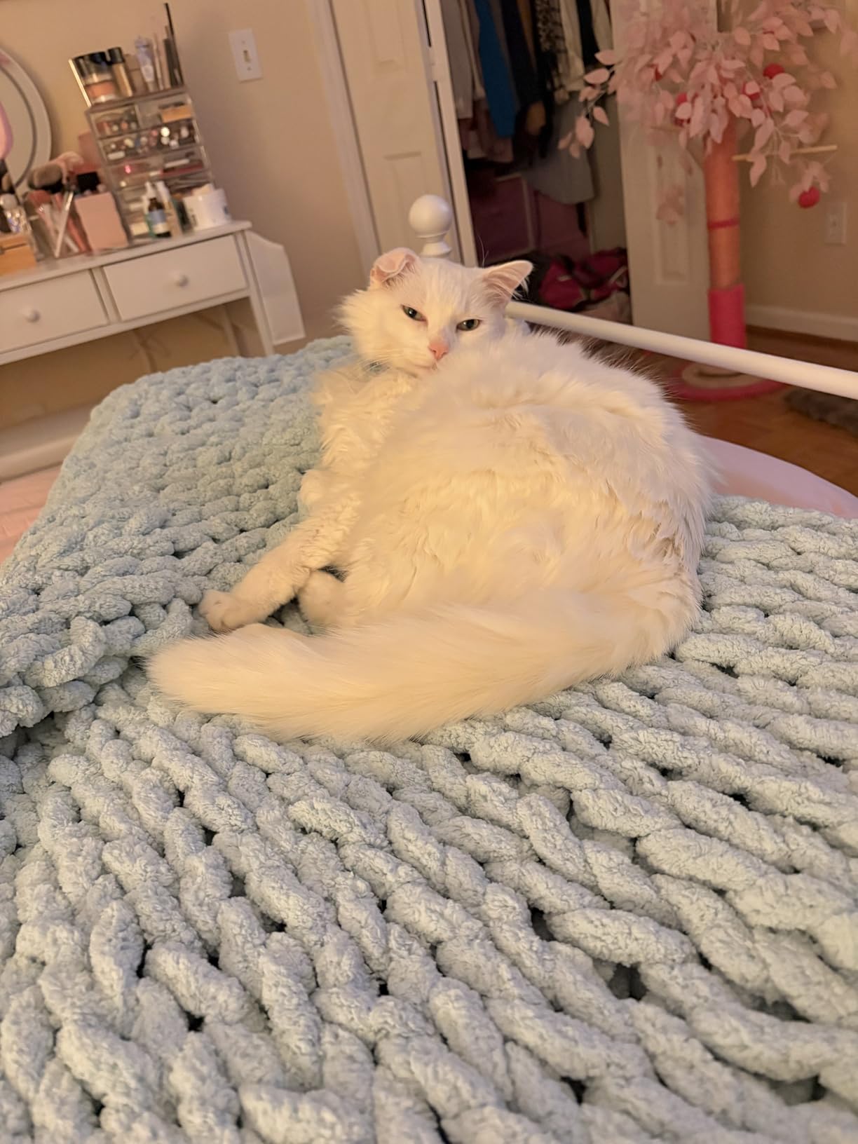 Bigacogo Chunky Knit Throw Blanket for Couch, 80x90 inches, Beige customer photo 1