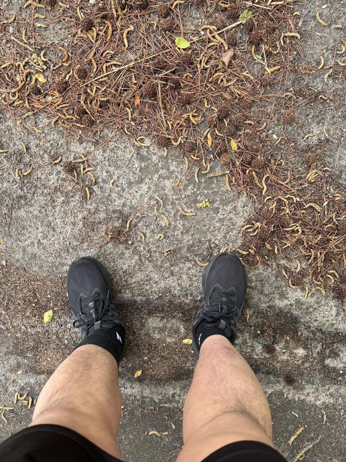 ASICS Men's NOVABLAST 5 Running Shoes customer photo 1