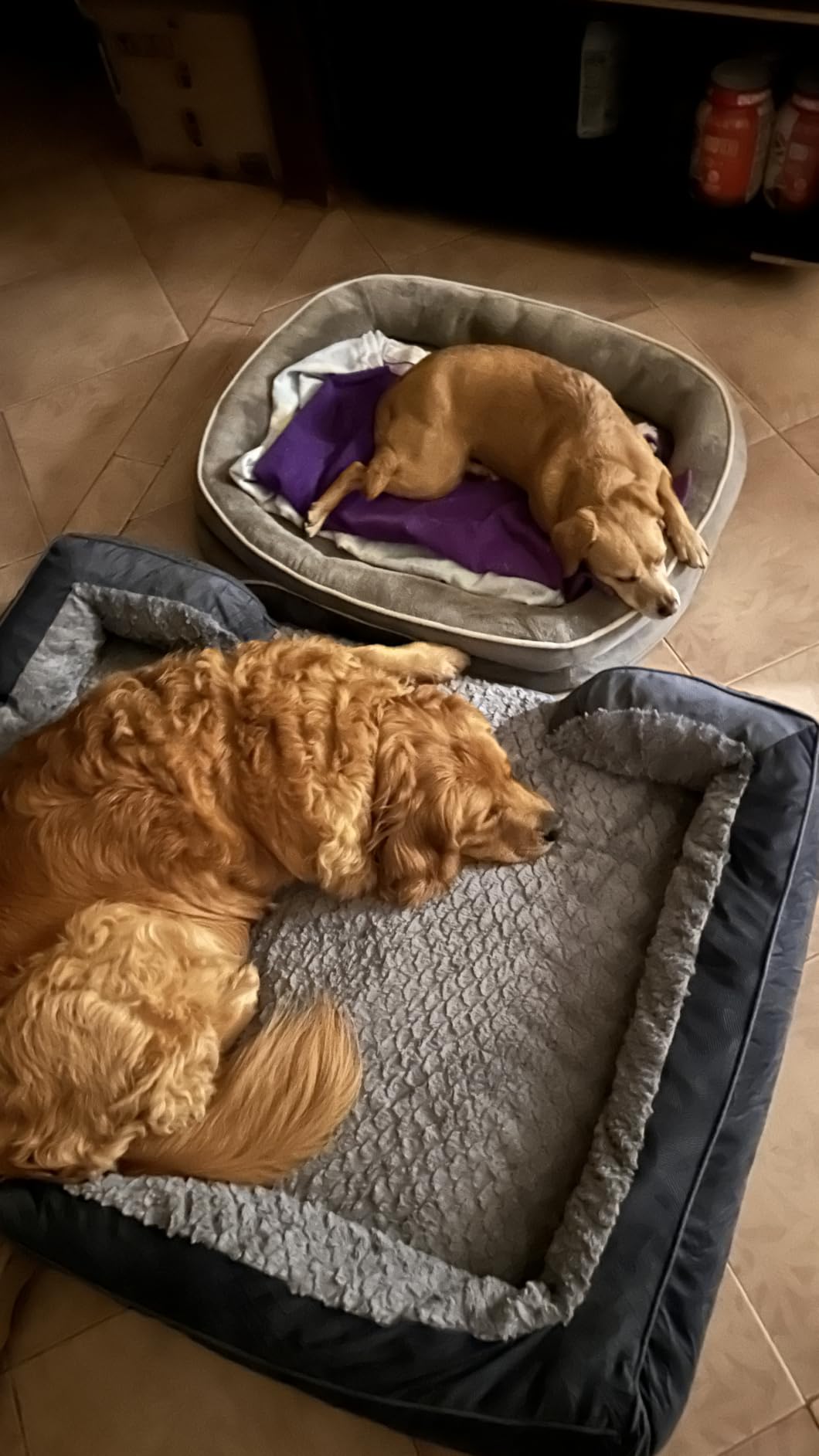 INVENHO Orthopedic Dog Beds Large Sized, XL Washable Dog Sofa with Egg-Crate Foam, Waterproof Lining and Non-Skid Bottom customer photo 2
