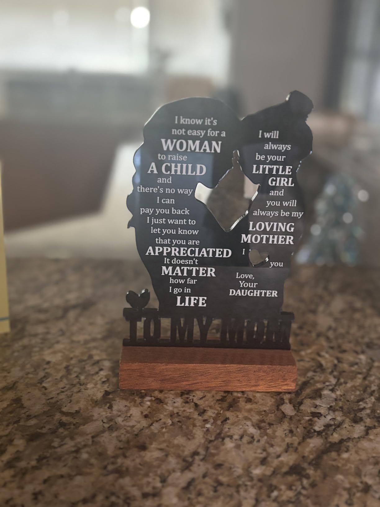 Sentimental Gifts for Aunt Birthday from Niece, Meaningful Present Ideas for Auntie, Best Aunt Ever Gifts for Mothers Day,Valentines Day, Christmas, Acrylic Decor Sign for Home Bedroom Office Desk customer photo 2
