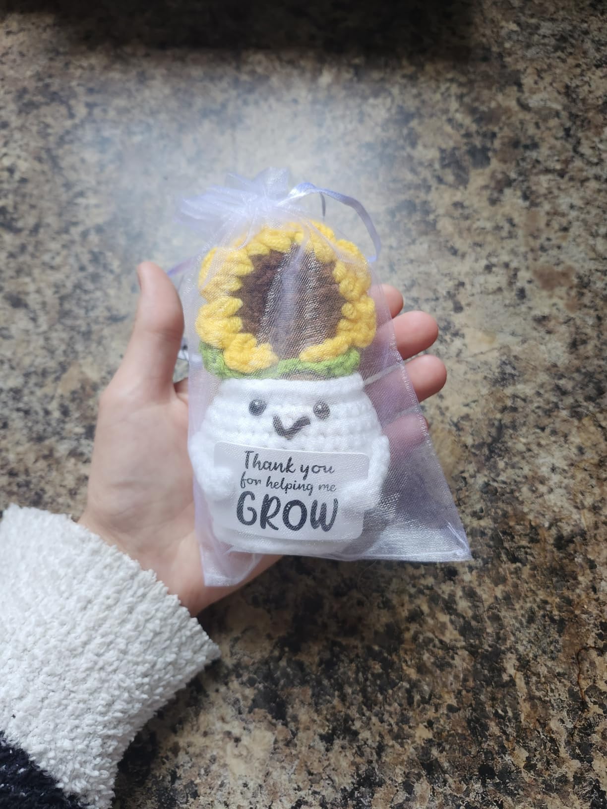 MBL Teacher Appreciation Gifts for Women - Retirement Sunflower Woman Gift customer photo 2