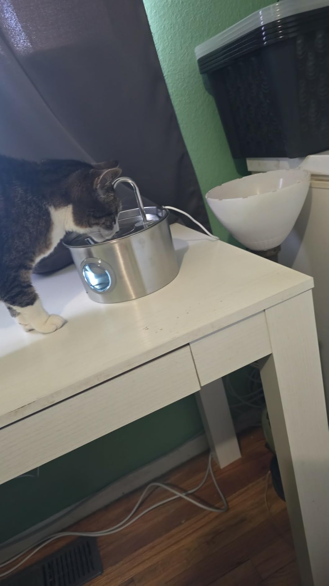 Cat Water Fountain Stainless Steel: 74oz/2.2L Cat Fountain for Drinking - Pet Water Fountain for Cats Inside - Quiet Cats Water Bowl Dispenser - Kitty Drinking Fountains - for Pets& Small Animals customer photo 1