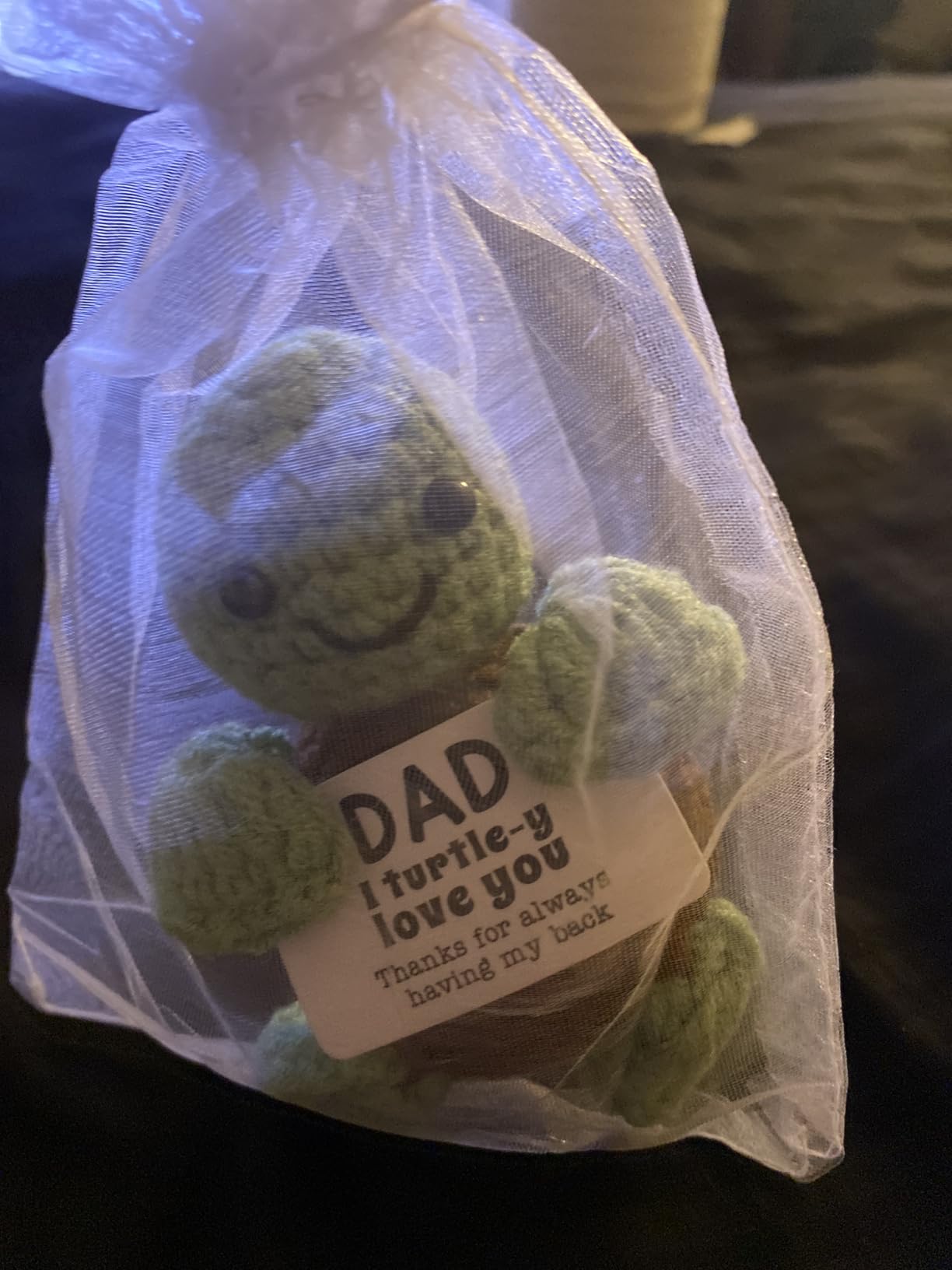 4THFARMES Mini Funny Turtle Aunt Auntie Gifts from Niece Nephew, Birthday Gifts for Aunt Auntie Gift Ideas, I Love You Small Cute Stuff Things, Handmade Emotional Positive Crochet Turtle customer photo 1