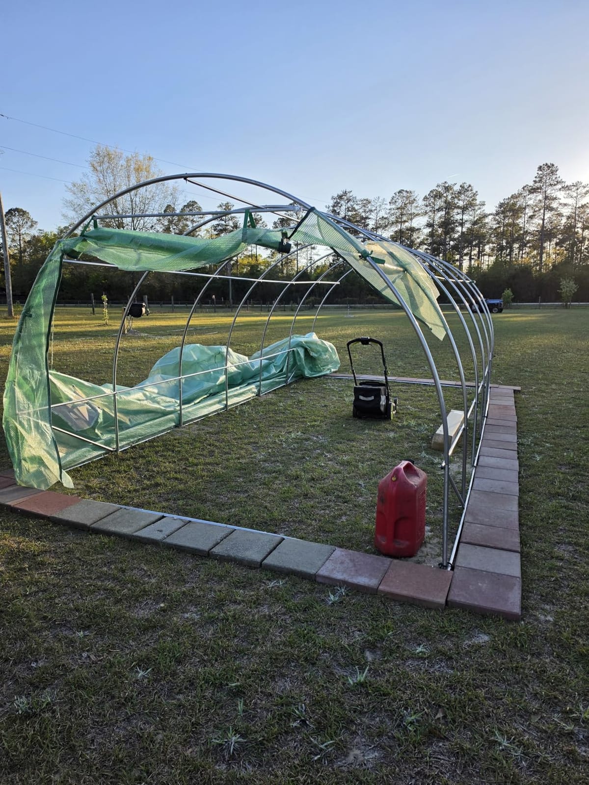 VEVOR Walk-in Tunnel Greenhouse, 19.4x9.7x6.5 ft Hoop House Greenhouse Tunnel, Plant Hot House with Galvanized Steel Frame, White PE Cover, Roll-up Zipper Door and 12 Windows for Outdoor customer photo 1