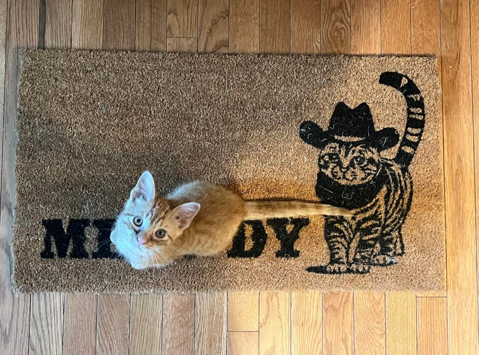 Meowdy Doormat 30x17 Inch, Black Cat Welcome Mat Coir, Cat-lover Gift Rug customer photo 1