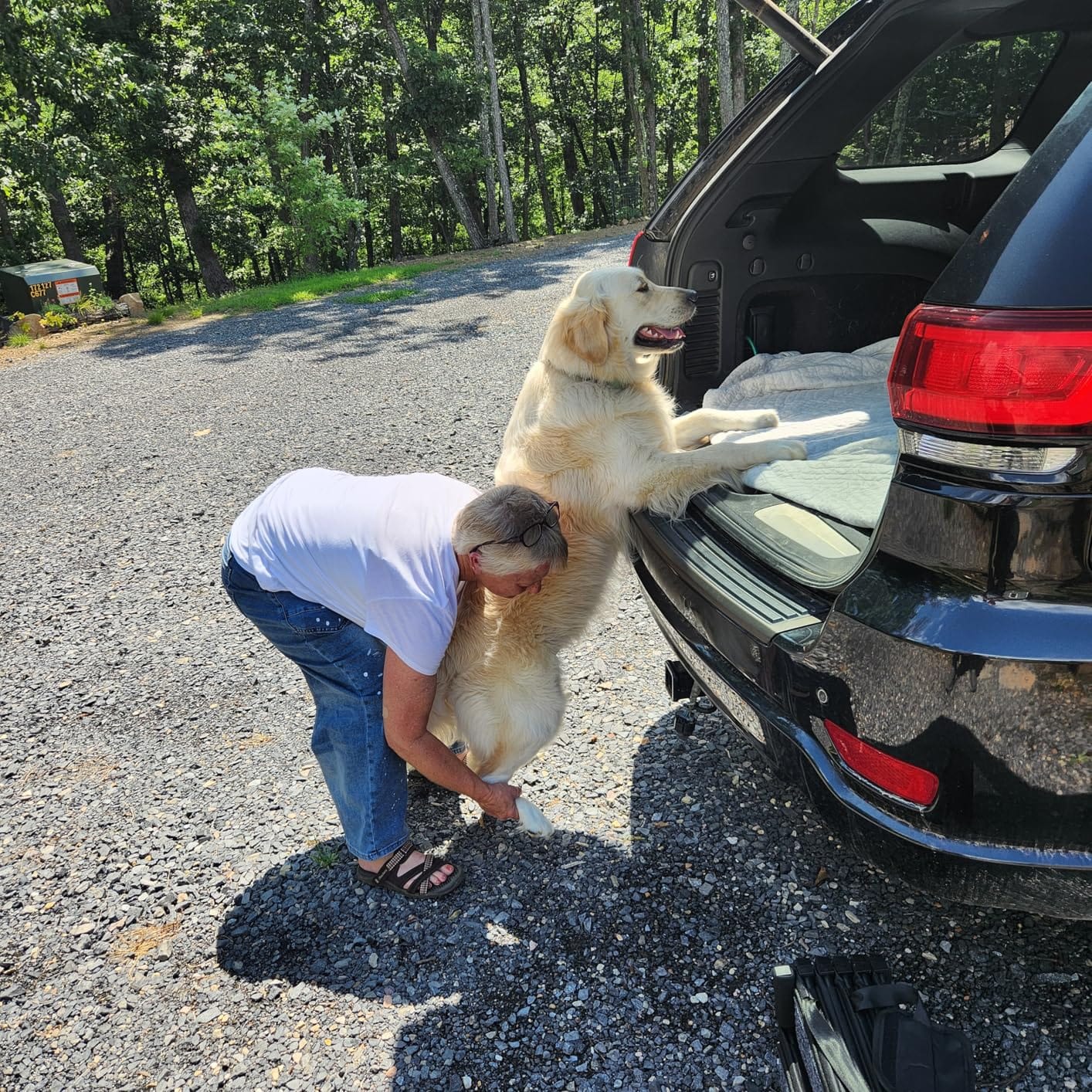 Dog Ramp for Car Truck and SUV Dog Stairs for Large Dogs Folding Pet Stairs with Non-Slip Rug Surface Supports Up to 250 lbs (5 Steps) customer photo 2