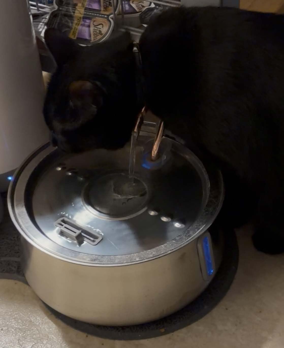 KittySpout Stainless Steel Cat Water Fountain Automatic Drinking Fountain, Quiet Circulating Water Bowl, Dishwasher Safe, Indoor Pet Fountain for Hydrated Healthy Cats (Stainless Steel, 4L Corded) customer photo 1