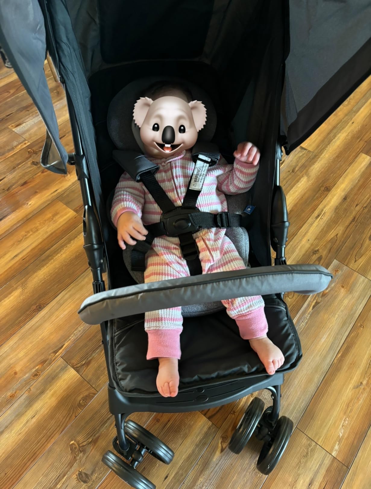 hauck Lightweight and Compact Travel Baby/Toddler Foldable Stroller, Sport, Beige customer photo 2