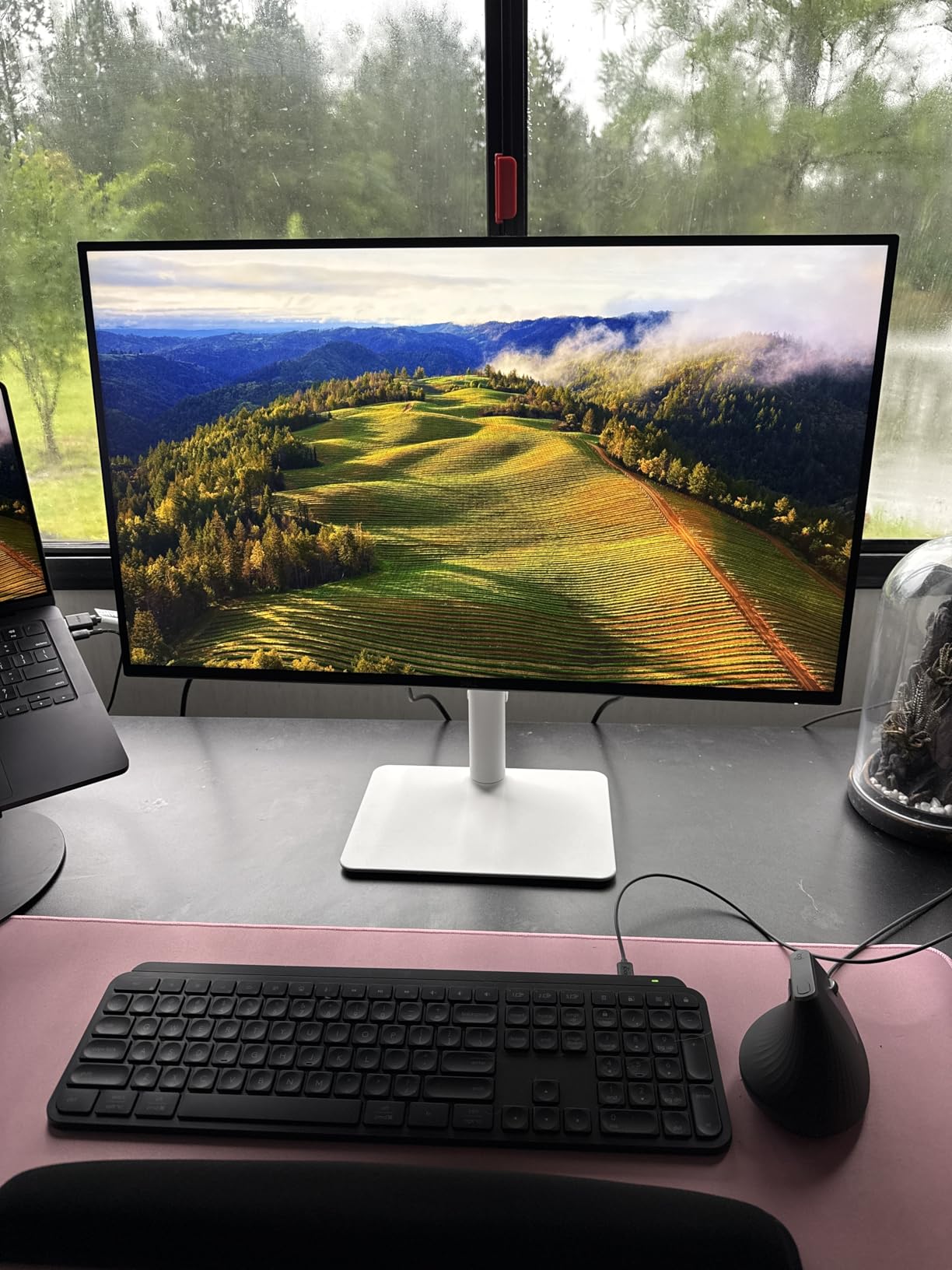 Dell 27 Monitor S2725QS, 4K UHD IPS, 120Hz, 5ms, FreeSync Premium customer photo 2