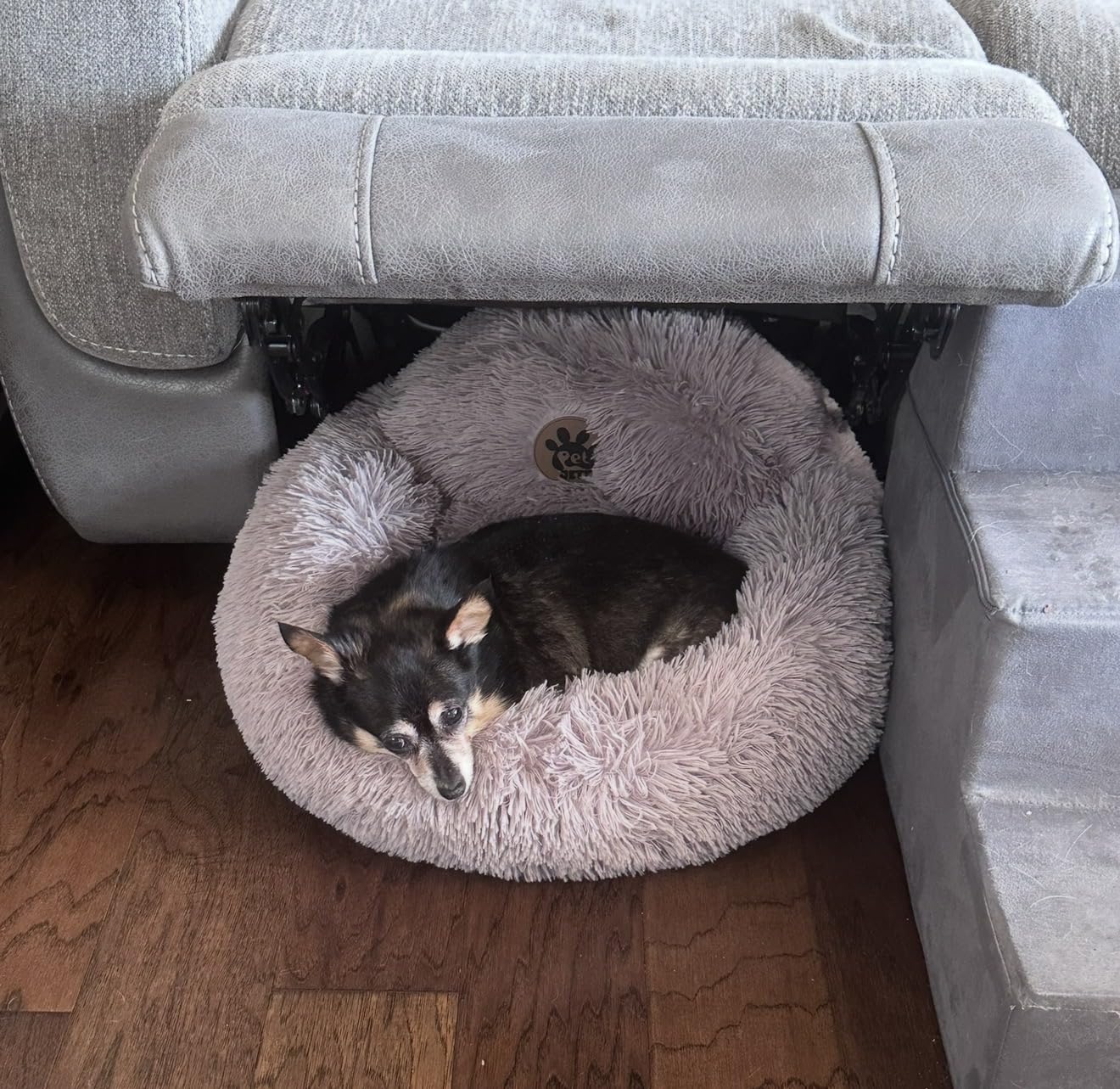 PetJett Calming Medium Dog Bed - 30'' Round Dog Beds - Washable Dog Bed - Anti-Slip Super Soft Fluffy Plush Donut Bed, Anti-Anxiety Premium Comfort Pet Bed, Fits Dogs up to 45 lbs - Beige customer photo 1