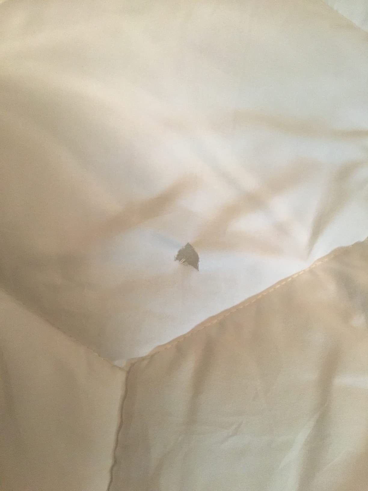 Favorland Mattress Topper Queen Size - Cooling Extra Thick Breathable Viscose Made from Bamboo Mattress pad - Soft Quilted Fitted Mattress Cover with 900 GSM Down Alternative Fill (8-21”Deep Pocket) customer photo 1