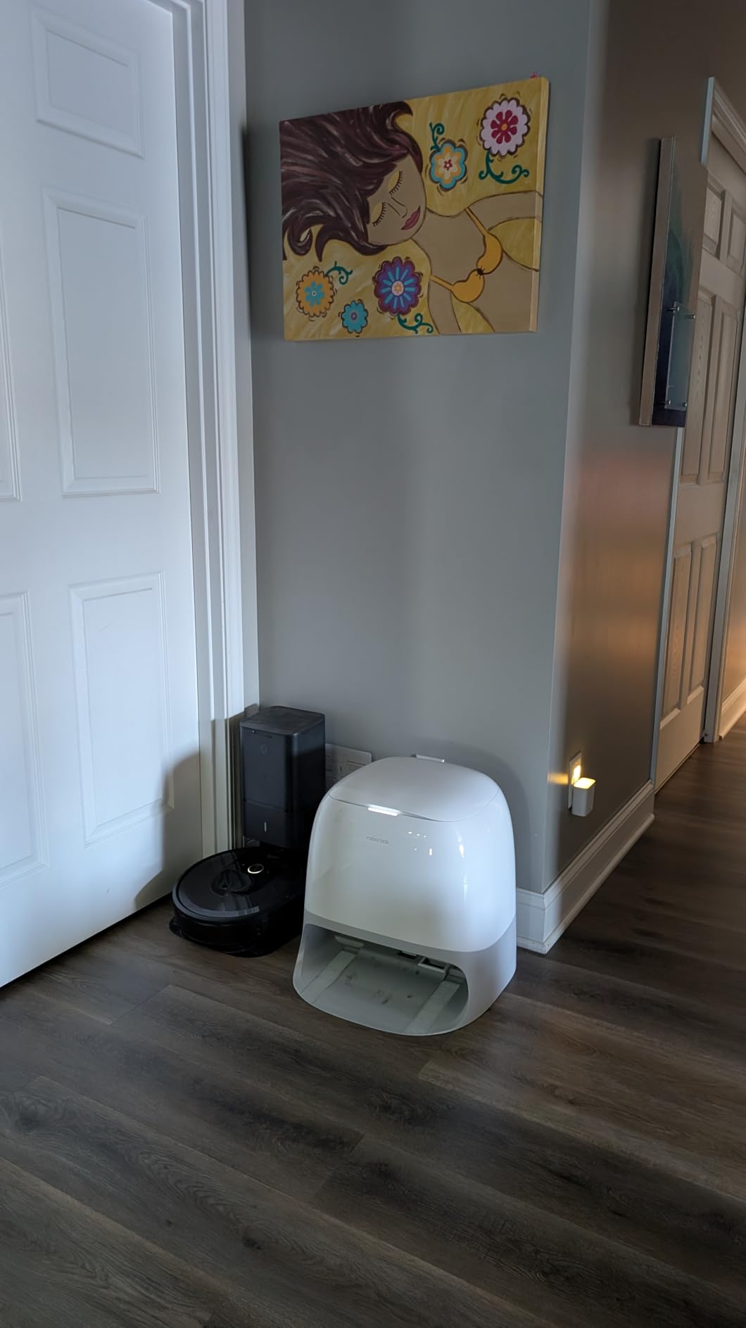 roborock Qrevo Curv 2 Flow SpiraFlow Real-Time Self-Cleaning Roller Mop customer photo 1