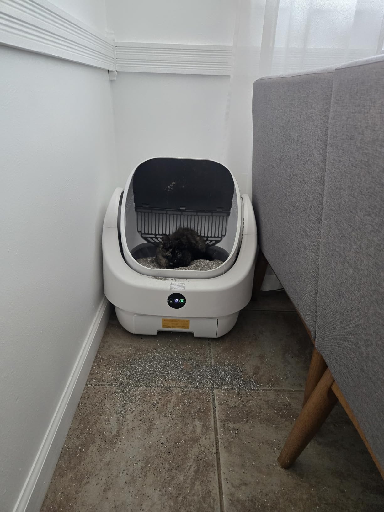 Open-Top Automatic Litter Box, Odor Control, Ready to Use, Self Cleaning | Litter Box, Large Capacity with APP Control and Safety Sensor, Ellenpent, with Trash Bags/Waterproof Mat/Litter Mat customer photo 1