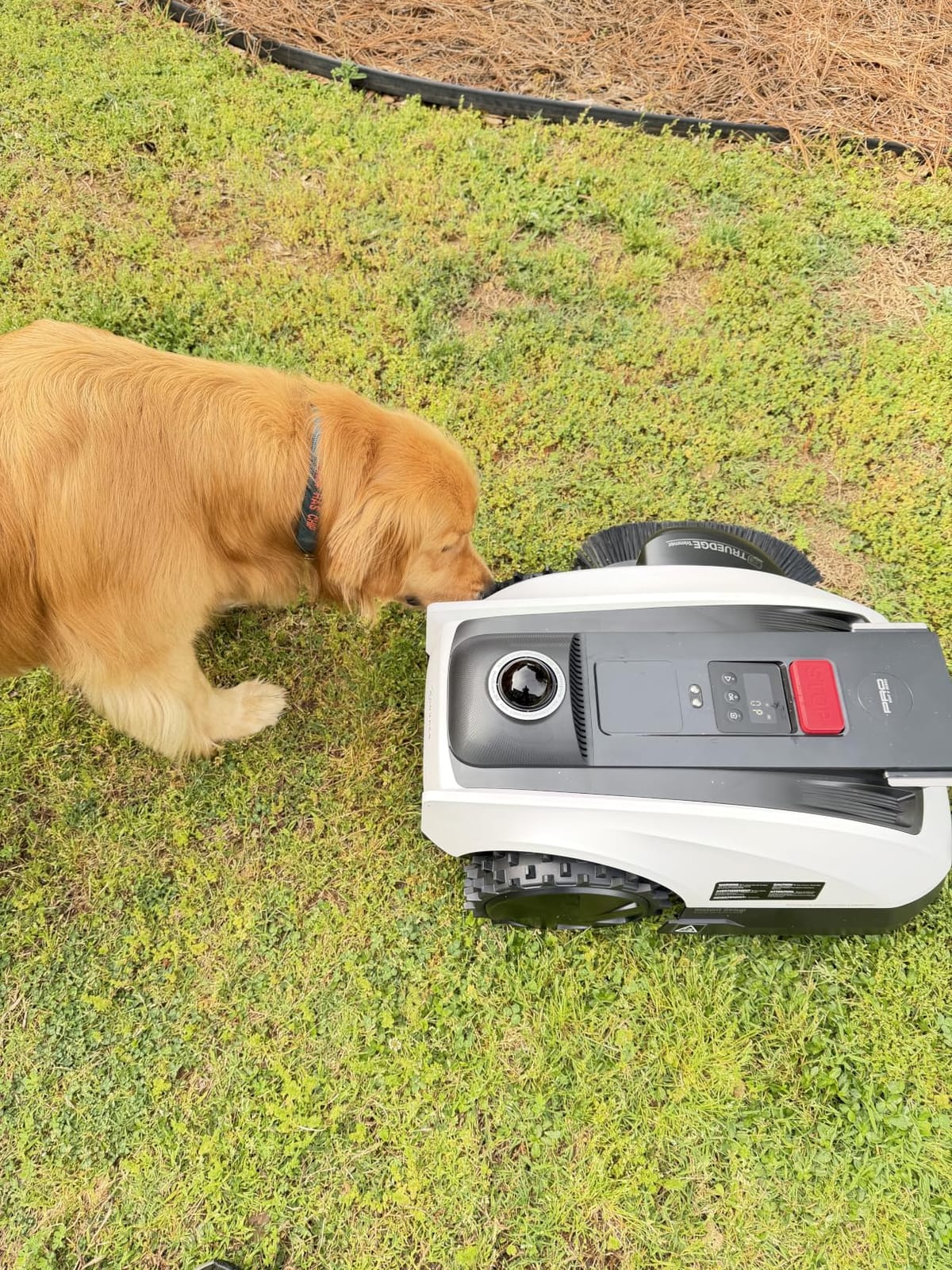 ECOVACS Goat O1000 LiDAR PRO Robot Lawn Mower, Wire-Free Mapping with LiDAR Navigation, AI Obstacle Avoidance, Smart Edge Mowing, App Control, for Lawns Up to 1/4 Acre customer photo 2