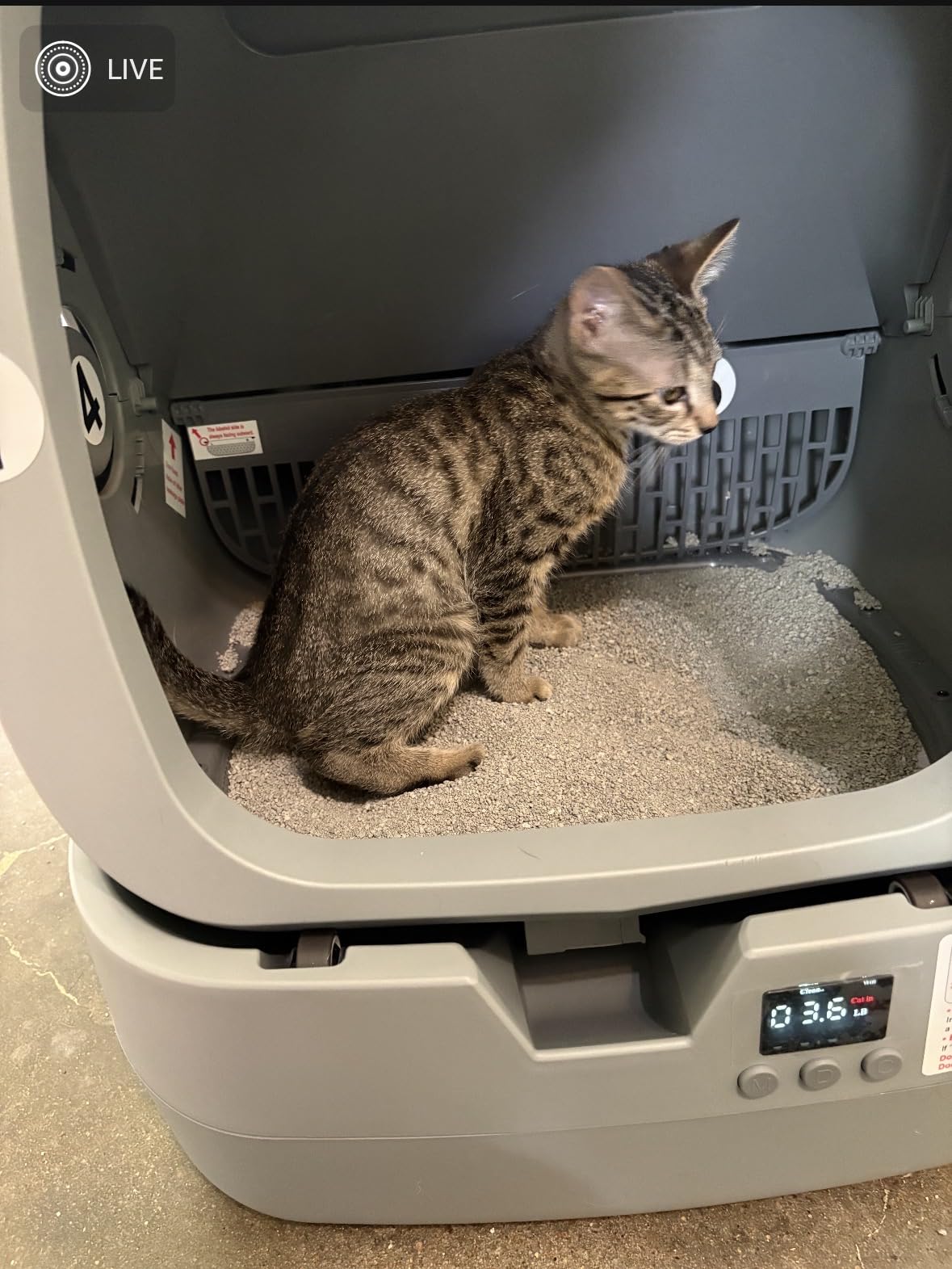 UPFAS Automatic Cat Litter Box Self Cleaning - APP Control - Weight Monitoring - Ultra-Quiet, Medium Cats and Kittens Litter Box, Safe Anti-Pinch【Assembly Required】- Grey customer photo 2
