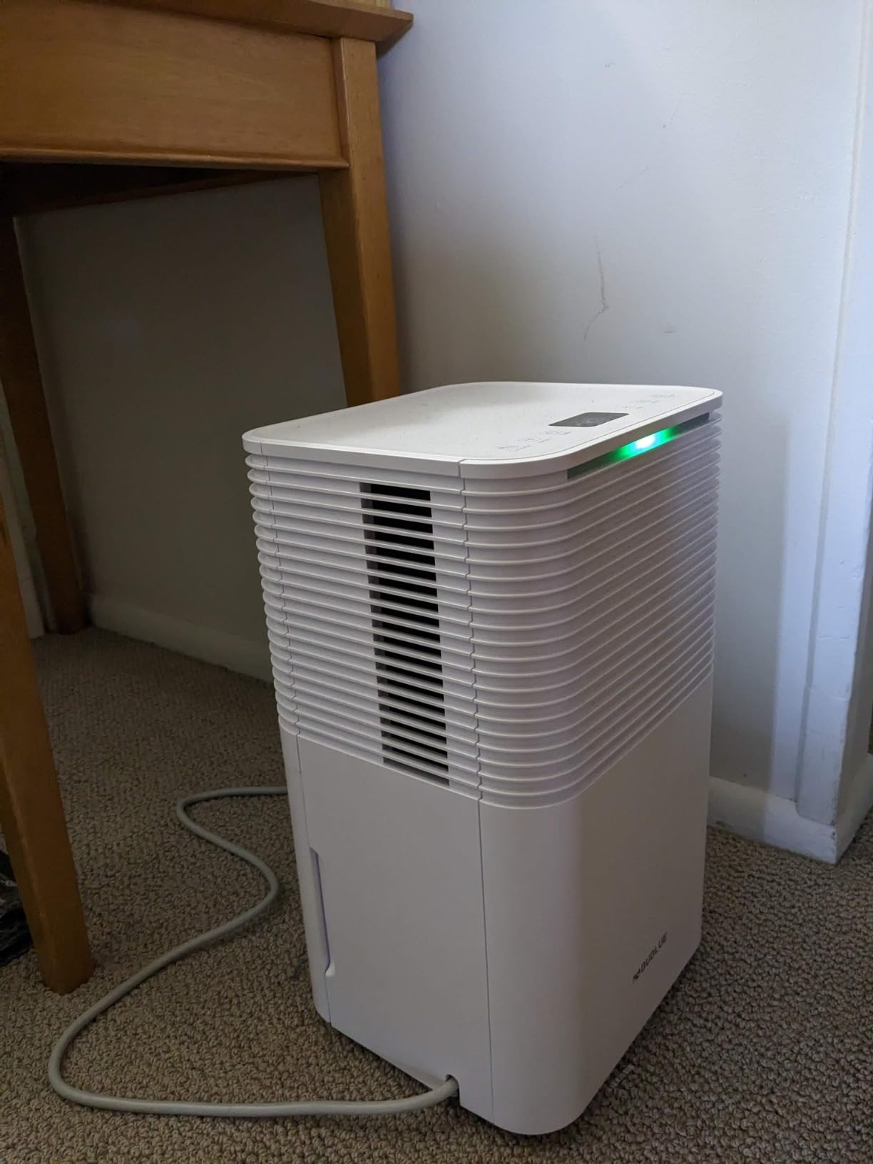 2500 Sq.Ft Max 34 Pint Dehumidifier for Basement with Drain Hose customer photo 1