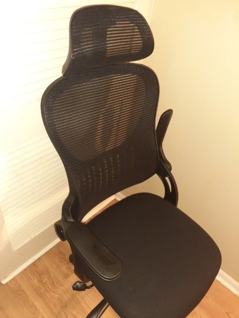 Sweetcrispy Computer Desk Chair, Mesh Office Chair with Lumbar Support customer photo 1