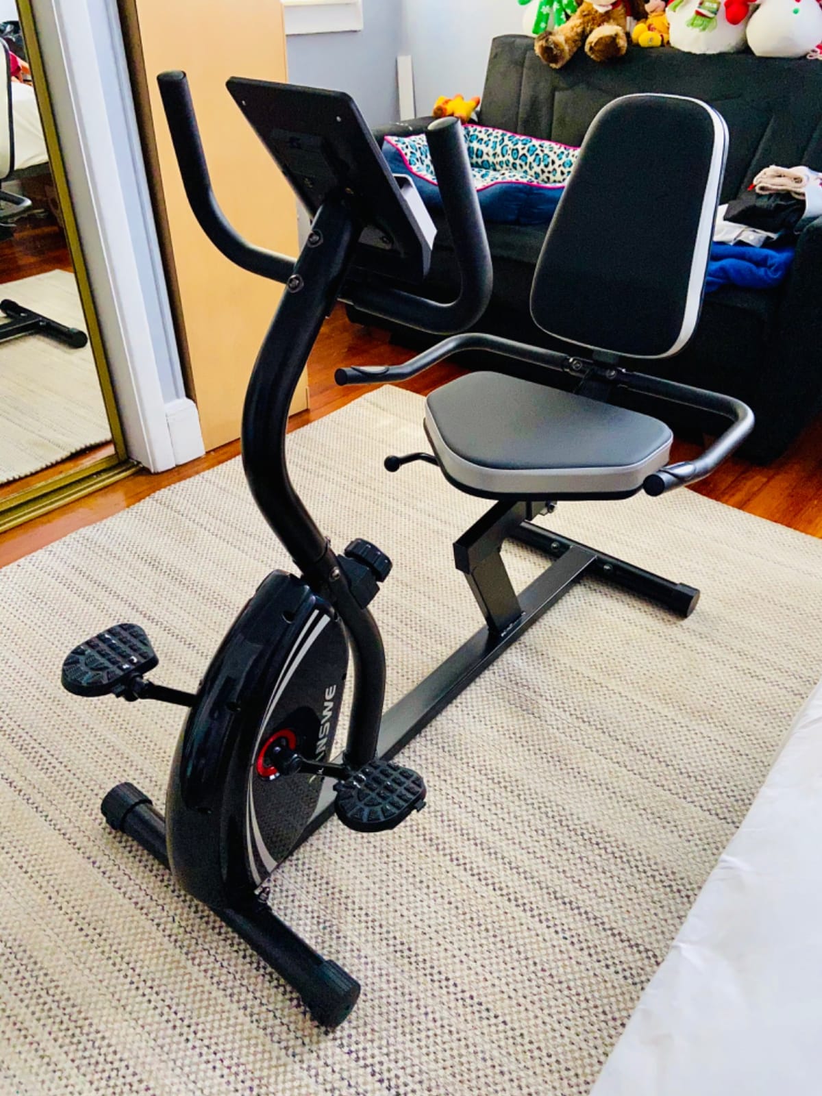 VANSWE Recumbent Exercise Bike for Home Seniors with 380 LB Weight Capacity customer photo 1