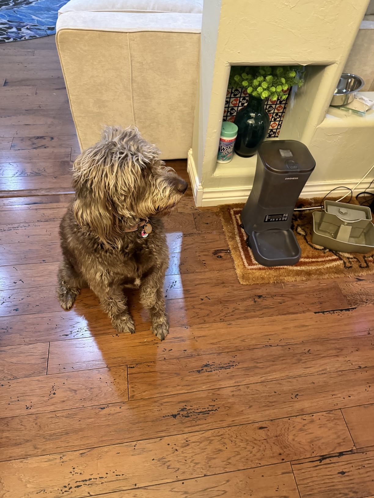 DOGNESS 11L Cordless Automatic Dog Feeder Large Breed customer photo 2